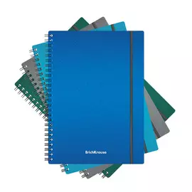 Тетрадь общая на спирали Erich Krause Ice Metallic ассорти А5 80 листов клетка