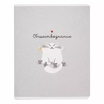 Тетрадь общая ученическая Be Smart, 165х203 мм, 48 л., клетка