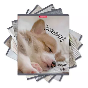 Тетрадь общая ученическая Erich Krause Chillout в клетку A5+ 48 листов матовая ламинация в ассортименте