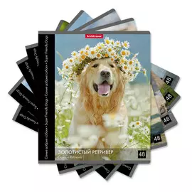 Тетрадь общая ученическая Erich Krause Энциклопедия Добрые собаки клетка 48 л в ассортименте