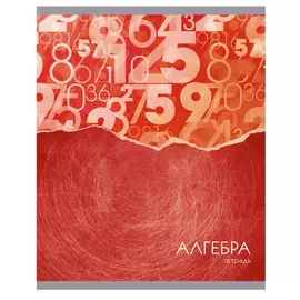 Тетрадь предметная Канц-Эксмо Steel light алгебра 48 л