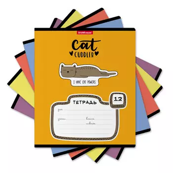 Тетрадь школьная ученическая Erich Krause Funny Kittens в линейку A5+ 12 листов в ассортименте