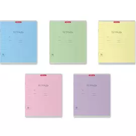 Тетрадь школьная ученическая Erich Krause Классика Visio 17x20,3 см, 18 л, линия, в ассортименте