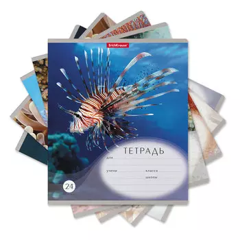 Тетрадь школьная ученическая Erich Krause Подводный мир в линейку A5+ 24 листа в ассортименте