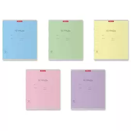 Тетрадь ученическая Erich Krause Visio 12 л линия в ассортименте