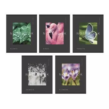 Тетрадь в клетку ListOff Фотоальбом А5 96 листов в ассортименте