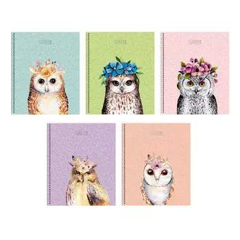 Тетрадь в клетку ListOff Нарядная сова А5 80 листов в ассортименте
