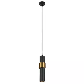 Точечный подвесной светильник Arte Lamp RAN A3144SP-1BK