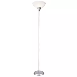 Торшер Arte Lamp Duetto A9569PN-1SI