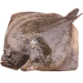 Тюрбо дикое La Maree охлажденное