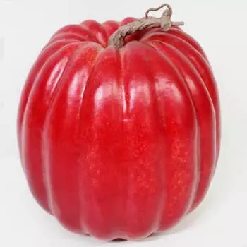 Тыква искусственная Конэко-О 20х20 см