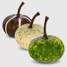 Тыква Long Cheng Yiwu City разноцветный в ассортименте