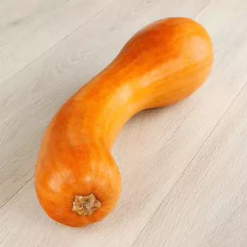 Тыква Витамин Гитара