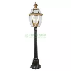 Уличный Zhantai BL-F100025