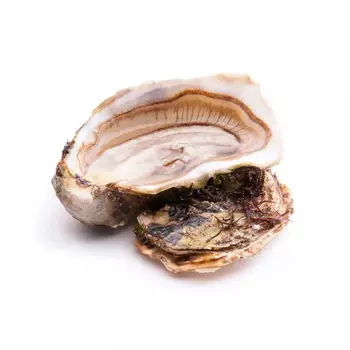 Устрица La Maree королевская №2, 1 шт