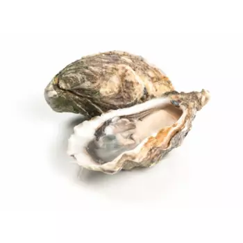 Устрица La Maree Королевская №3, 1 шт