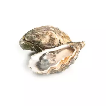 Устрица La Maree специаль Касабланка №2, 1 шт