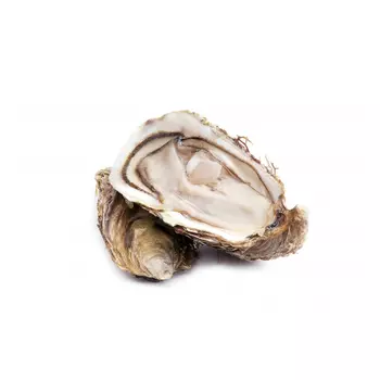 Устрица La Maree жемчужина Магриба №0, 1 шт