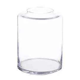 Ваза Hakbijl glass chase 25см