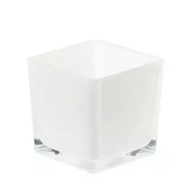 Ваза Hakbijl glass cubic 12х12х12см белая