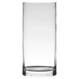Ваза Hakbijl Glass Cylinder 12х35 см