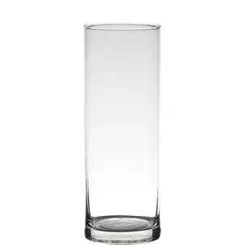 Ваза Hakbijl glass cylinder д9см 30см