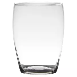 Ваза Hakbijl Glass Essentials Hood 14х20 см