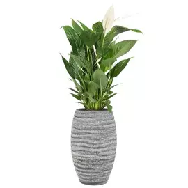 Ваза Ter steege Koen коричневая 19х19х31 см