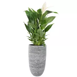 Ваза высокая Ter steege Karlijn антрацит 19х19х37 см