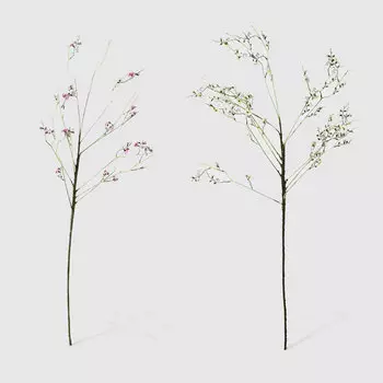 Веточка Конэко-О 39613