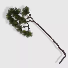 Ветвь Dpi сосновая искусственная 61 см