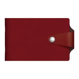 Визитница Hatber 12 карманов Vivella Bicolour бордовый/шоколадный