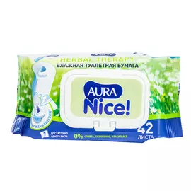 Влажная Туалетная бумага с крышкой 42 шт. Aura Nice (8028)