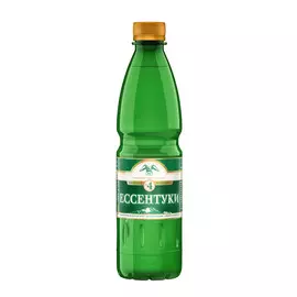 Вода минеральная Ессентуки №4 газированная лечебно-столовая 0,5 л