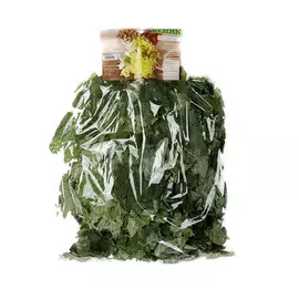 Волковпар Веник кленовый