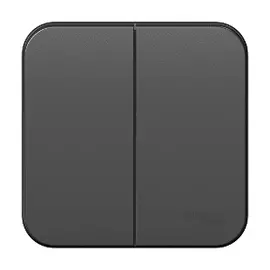 Выключатель 2-клавишный 10а 250b антрац. Schneider Electric