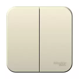 Выключатель 2-клавишный 10а 250b молочн. Schneider Electric