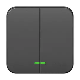 Выключатель 2-клавишный подсвет. Антрац. Schneider Electric