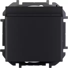 Выключатель одноклавишный карточный Legrand Inspiria. Цвет - антрацит