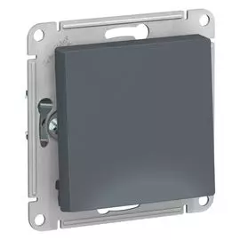 Выключатель с самовозвратом Schneider Electric 10ах грифель