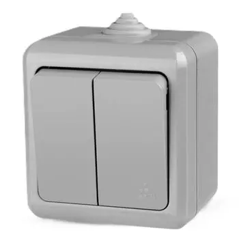 Выключатель Tokov Electric Dita двухклавишный серый
