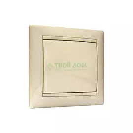 Заглушка к розетке Legrand Valena (774346) слоновая кость