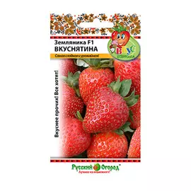 Земляника Русский огород вкуснятина F1 4 шт
