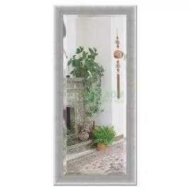 Зеркало с фацетом в багетной раме Evoform алюминий 90 мм 76х166 см