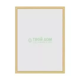 Зеркало в багетной раме Evoform сосна 22 мм 58х78 см
