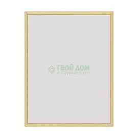 Зеркало в багетной раме Evoform сосна 22 мм 68х88 см