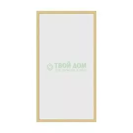 Зеркало в багетной раме Evoform сосна 22 мм 58х108 см