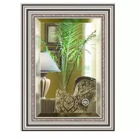 Зеркало с фацетом в багетной раме Evoform римское серебро 88 мм 56х76 см