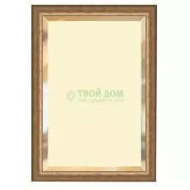 Зеркало с фацетом в багетной раме Evoform состаренная бронза 66 мм 72х102 см