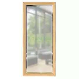 Зеркало с фацетом в багетной раме Evoform сосна 62 мм 71х161 см